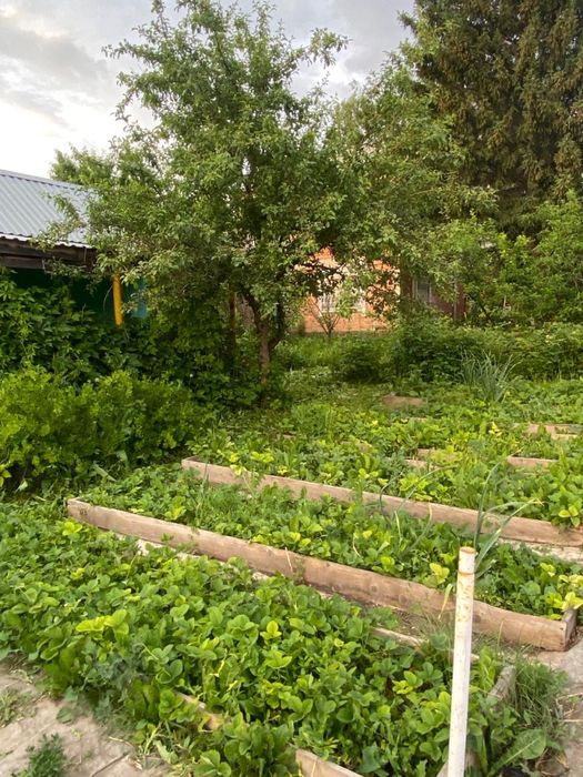 Продам дачу (с.о. Самоцветы)
