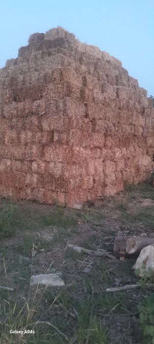 Baloți din paie de grîu