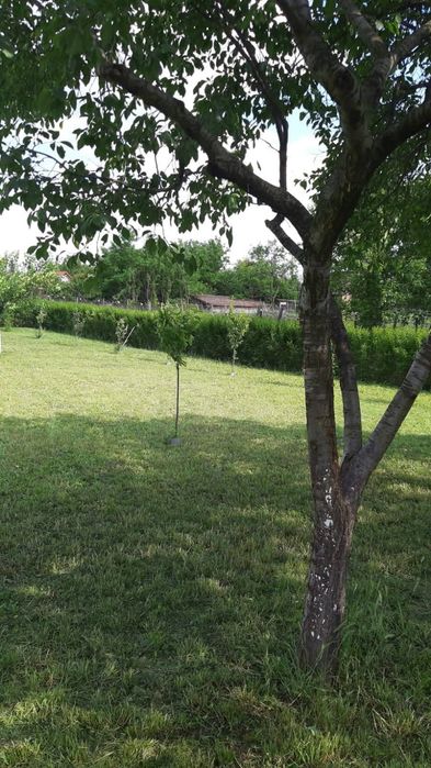 De vânzare! Două proprietăți!