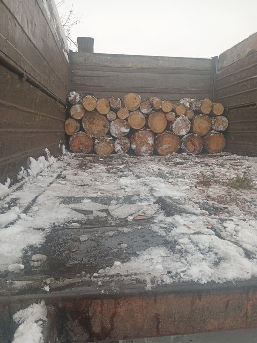 Продам дрова чурки сосна