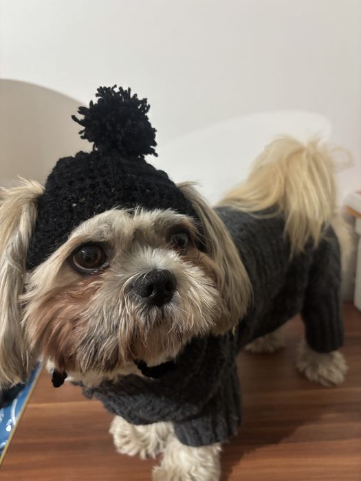 Haina pentru căței croșetate