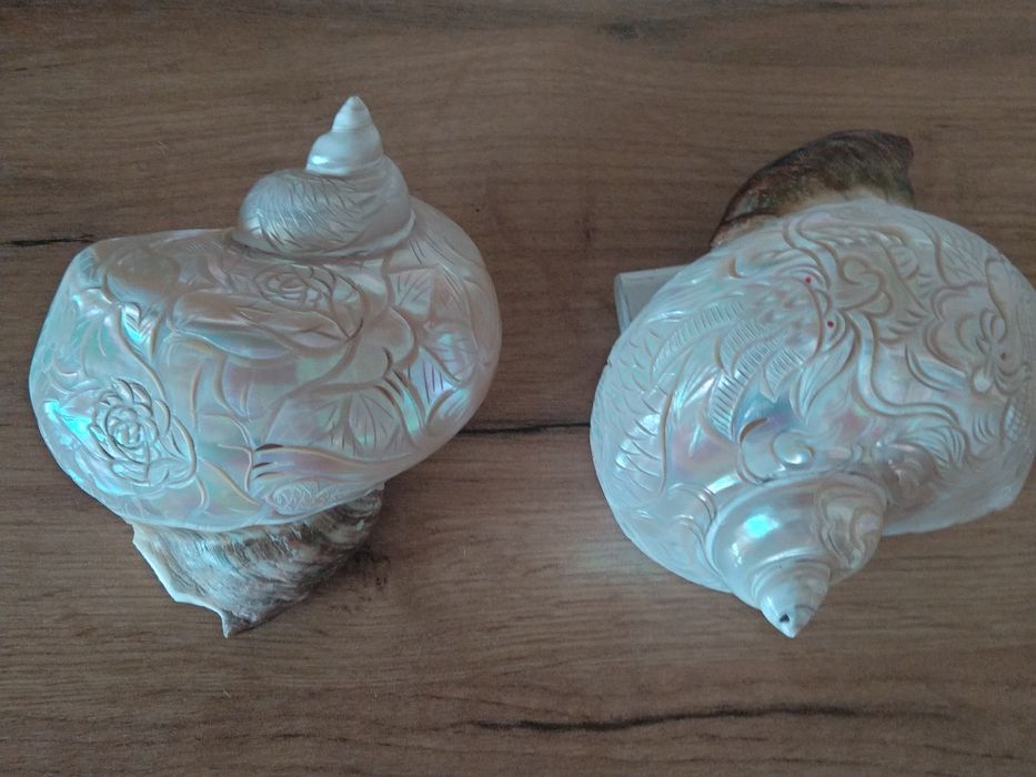 Продавам седефени рапани с ръчна резба върху тях