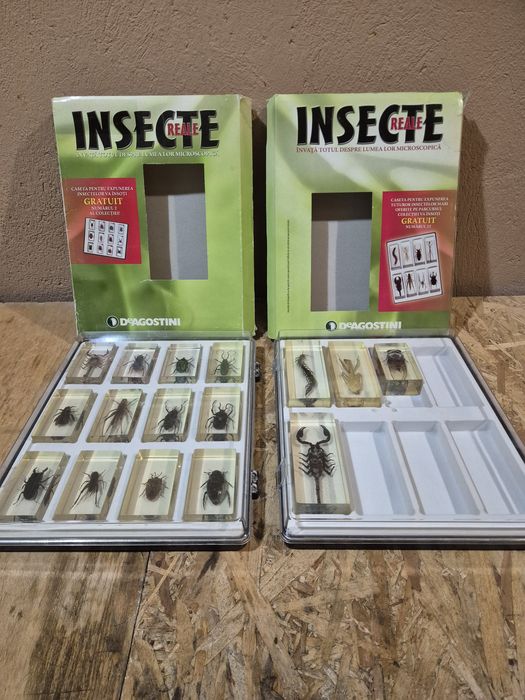 Colecție insecte reale  DeAGOSTINI
