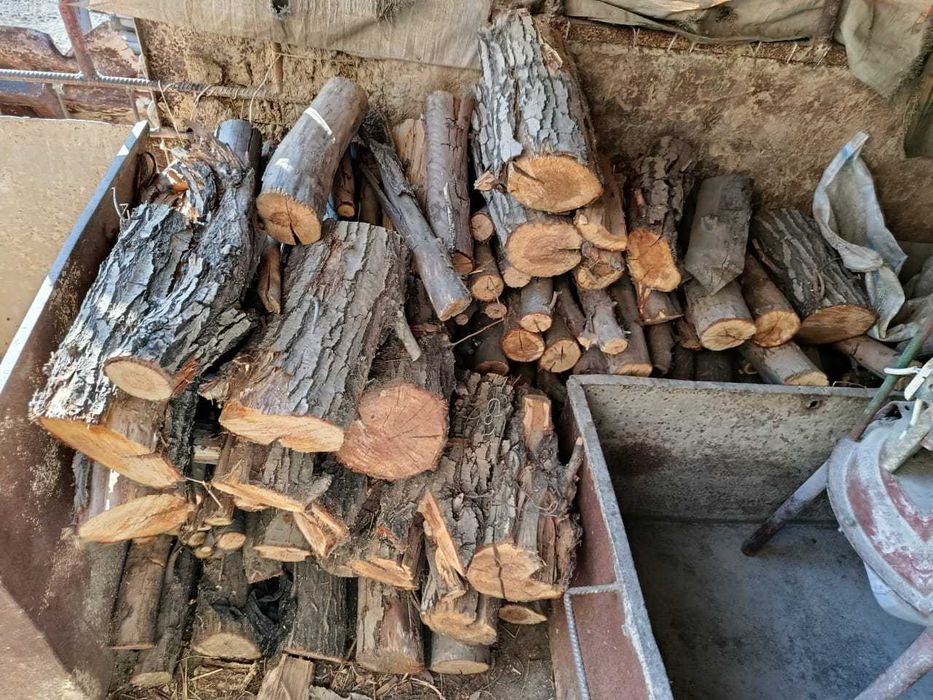 Дрова Тутовник,Урюк