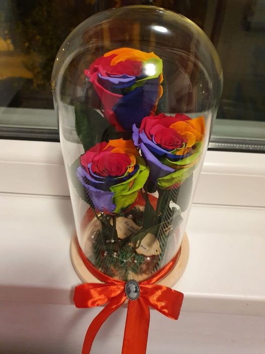 Cadou criogenat ideal pt orice aniversare