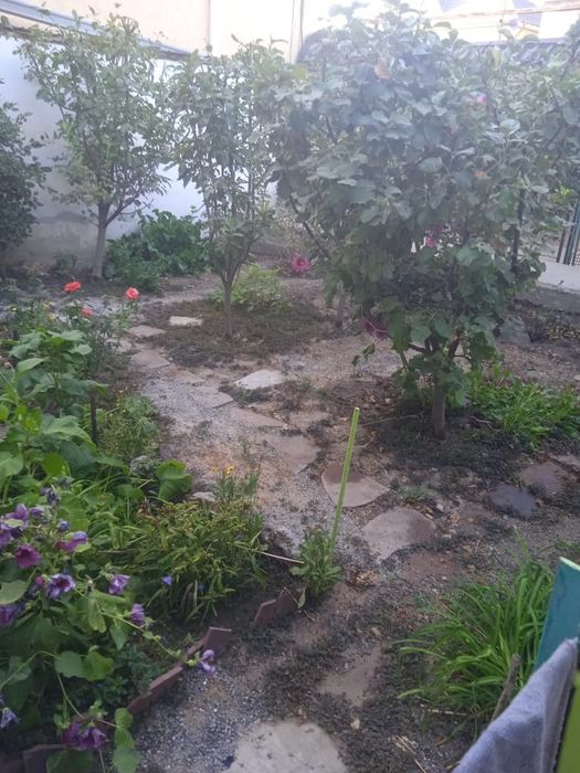 Недвижимость дом