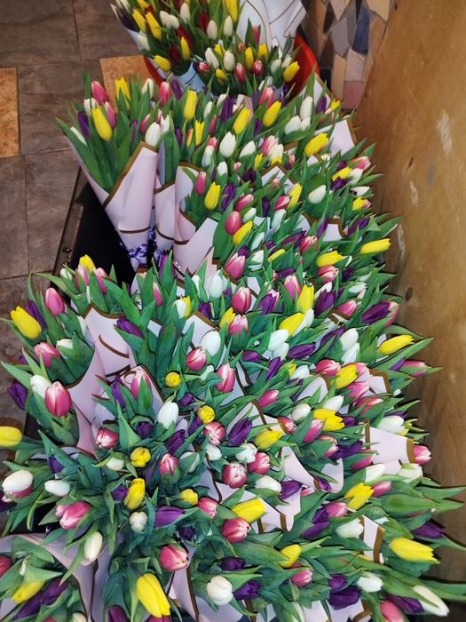 Тюльпаны оптом и в розницу, центр 24/7