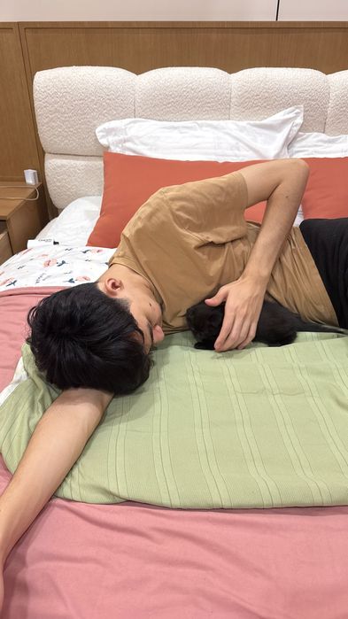 Котенок Скоттиш фолд