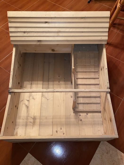 Cuscă broasca testoasa