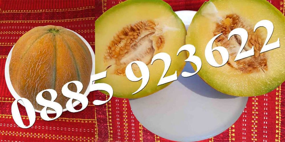 100+ Био Семена Селски Сортове Домат Краставици Тютюн Люти Чушки +ДАР