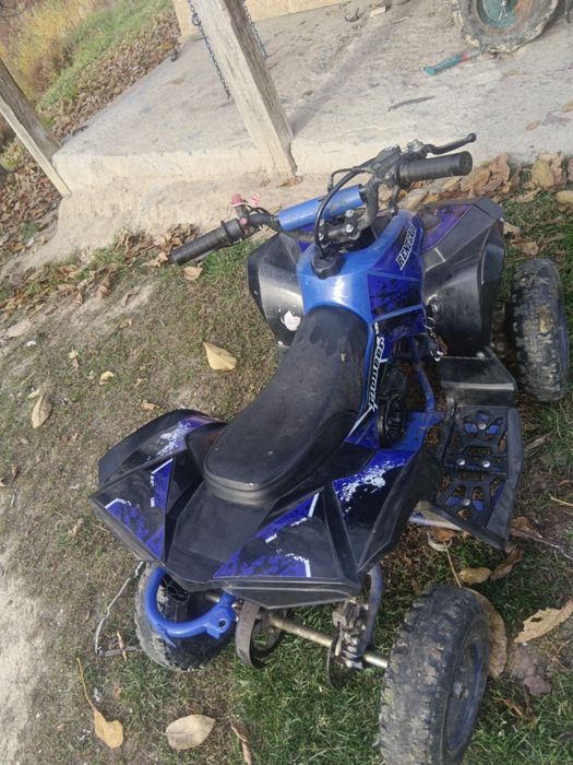 De vânzare ATV de 49
