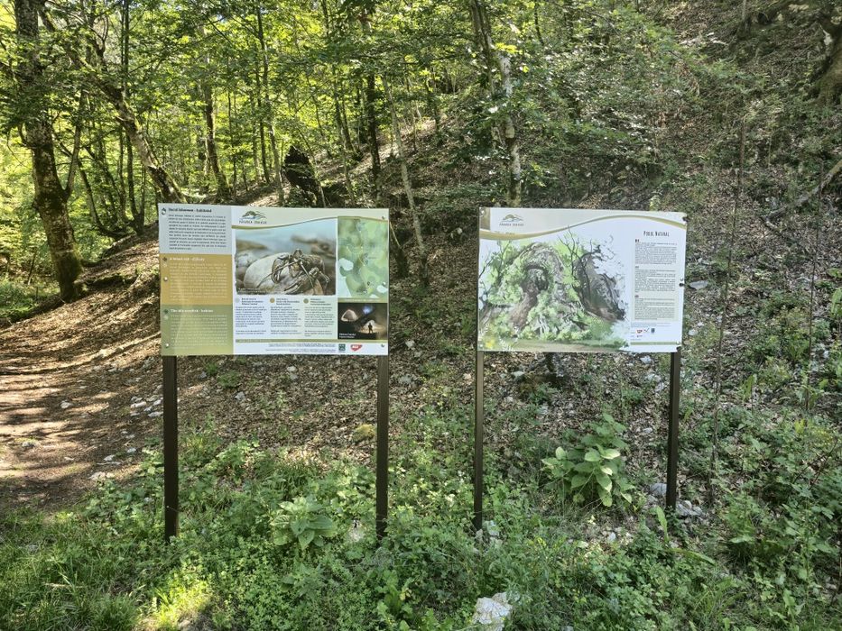 Vind loc cabana 800 mp teren intravilan Rosia zona .Valea Dâlbii.