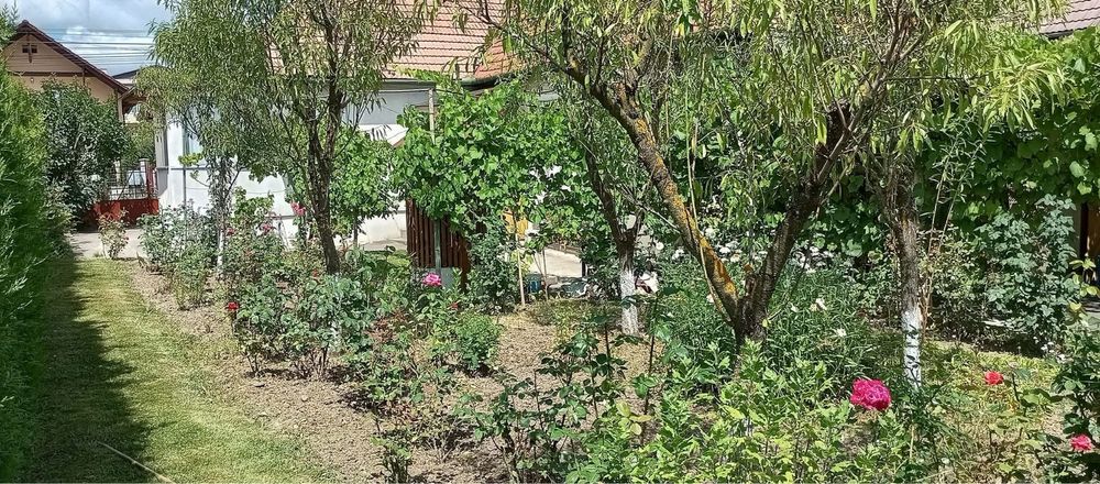 Vand casa in Simleu Silvaniei