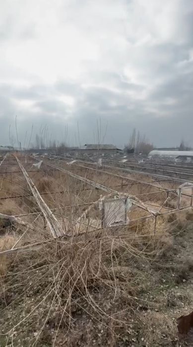 Abu-saxiy bozorga 12 km da joylashgan 80 sotux yer sotiladi