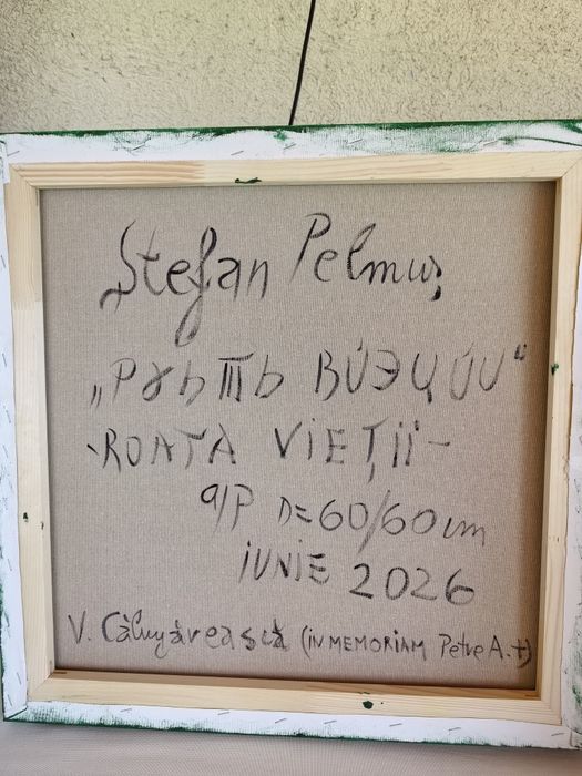 Vind 2 tablouri Pelmusu