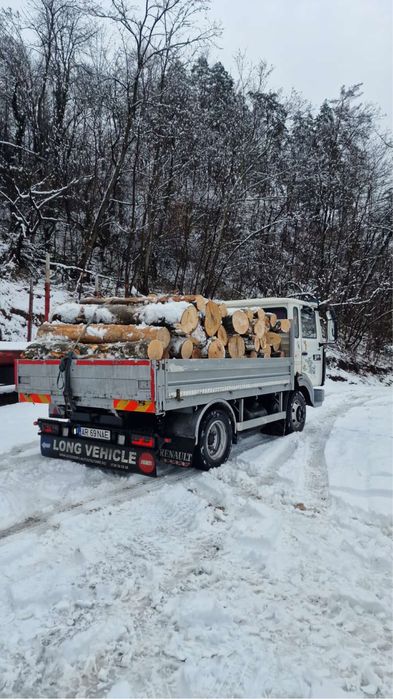 Lemne de foc esenta tare