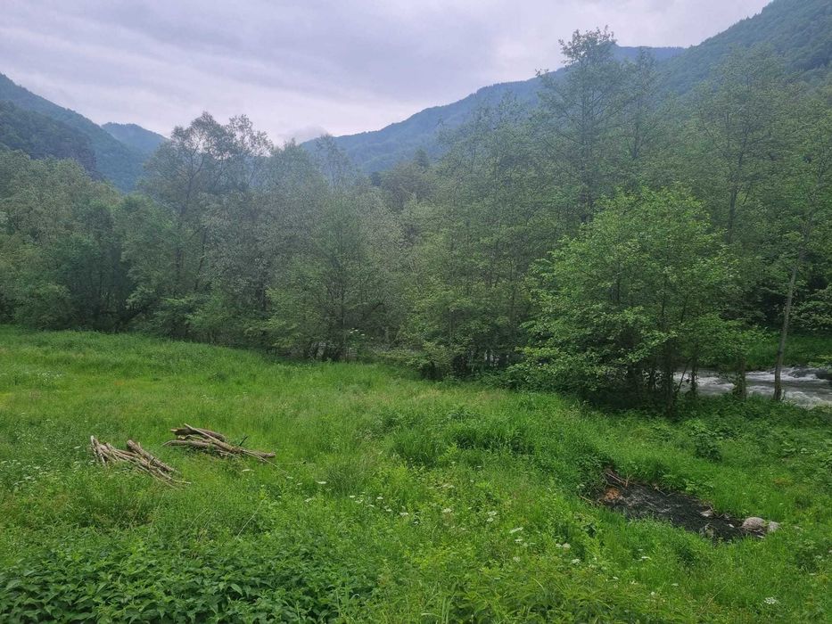 Teren Râul Mare Retezat