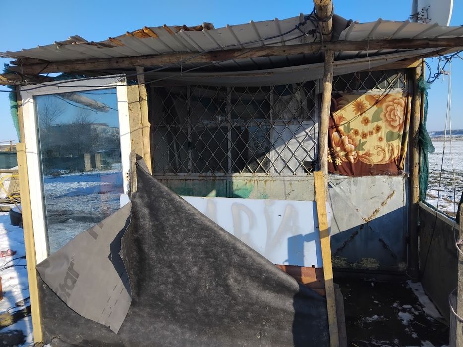 Containar de vinzare