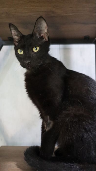 Лаки ищет себе маму и папу!