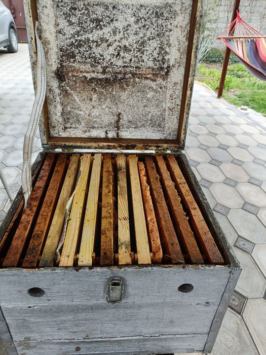 Улья   для  пчел