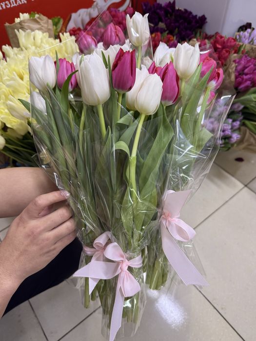 Свежие тюльпаны по 750 тг