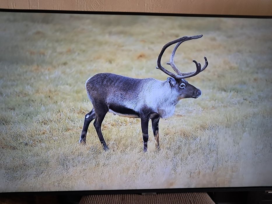 Телевизор samsung 43" 109см смарт 2023 г