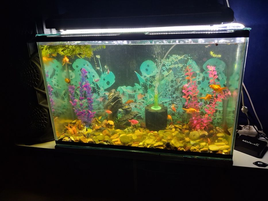 Продам снастья рыболовные