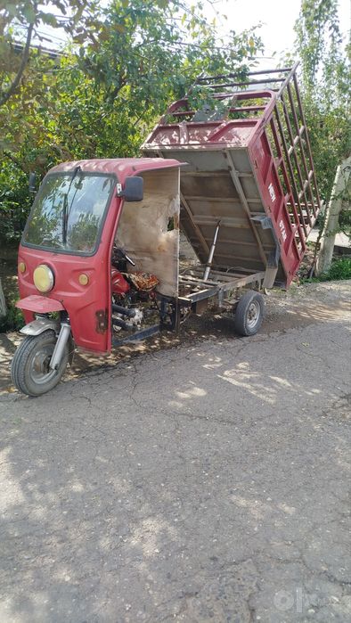 Kafolati bilan yurishlari zur