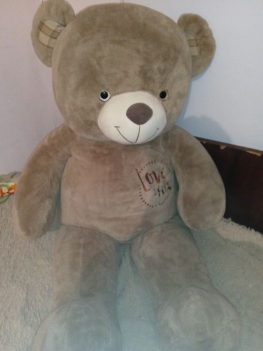 Продам медведя срочно