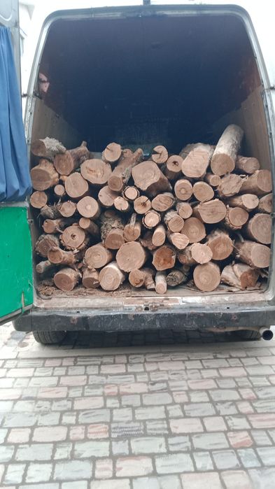 Продам дрова карагач сухой