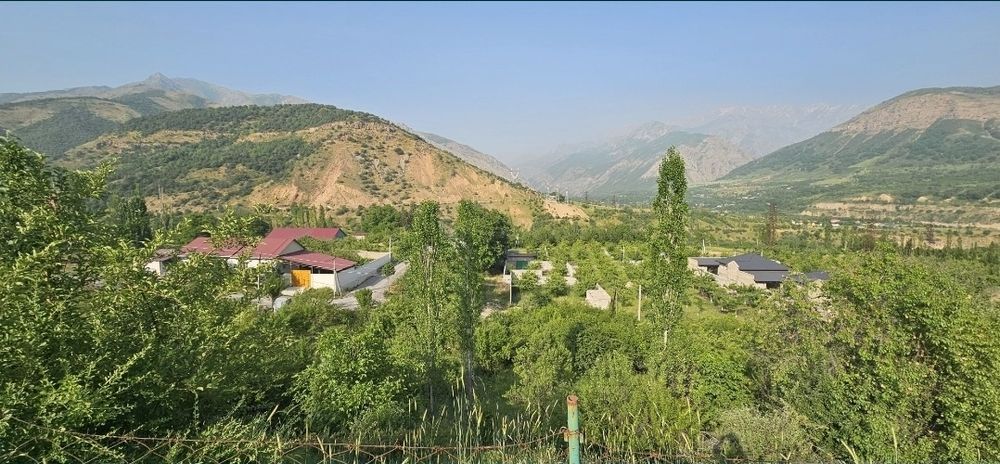 Dala hovli uchun yer uchastkasi