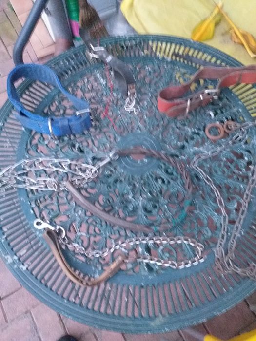 Materiale întreținere câini rasă mare