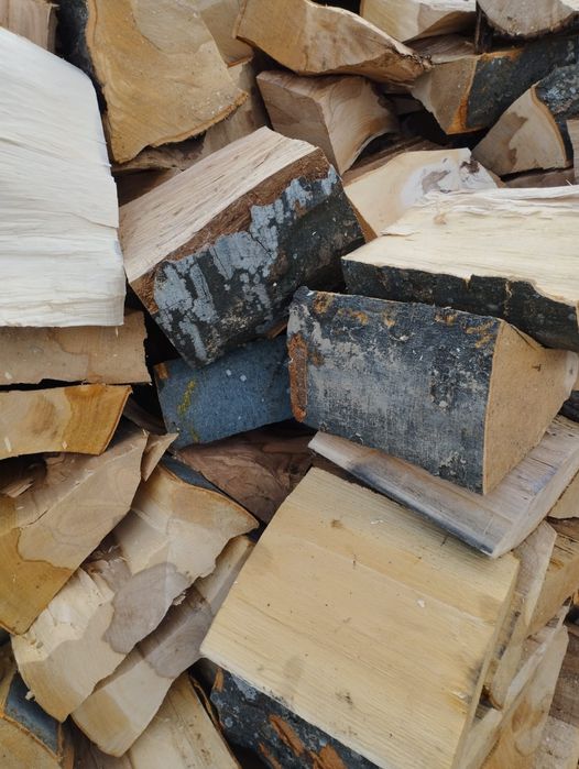 Lemne de foc fag capete uscate sau verzi 600lei tona sau la metru ster