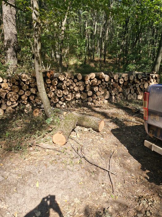 Lemn de foc  ..esenta tare carpen stejar si frasin si lemn de tei .