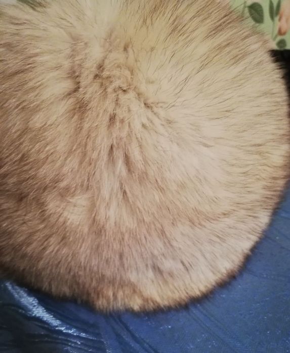 Қыстық  бас  киім