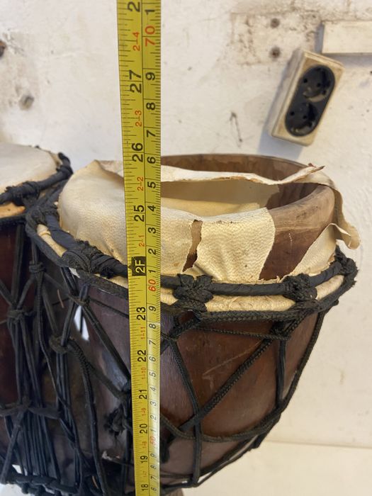 Тарамбука африканска