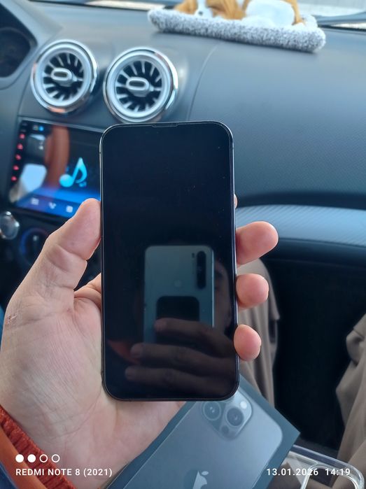 Iphone 13pro ideal sostayane