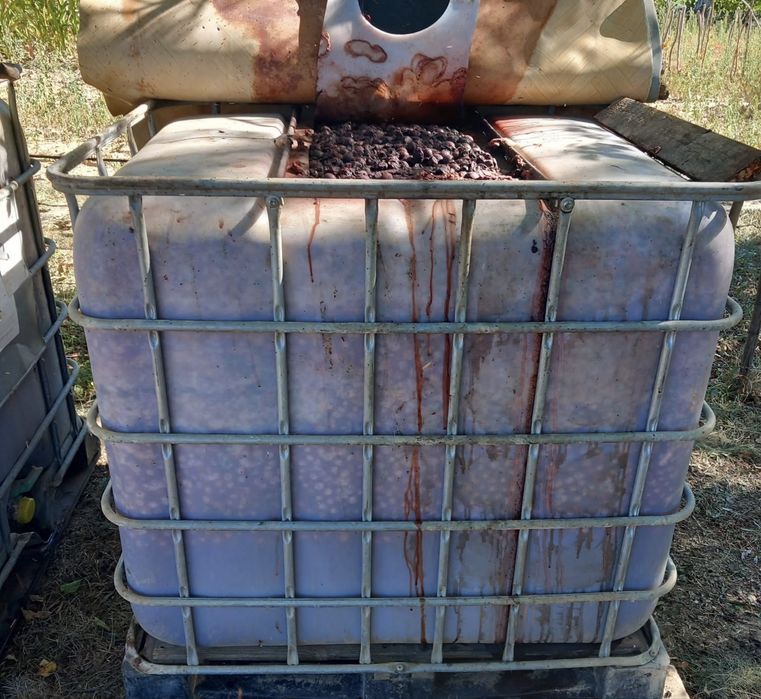 Vând prune pentru țuică!