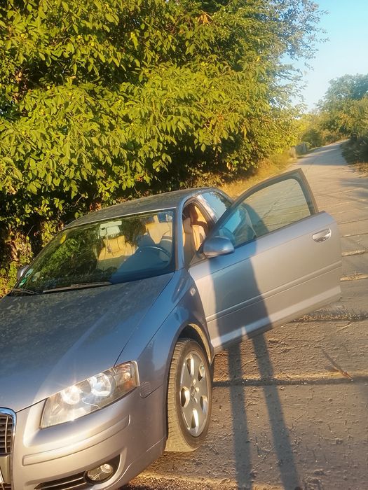 Audi A3 8P 1.6 2007