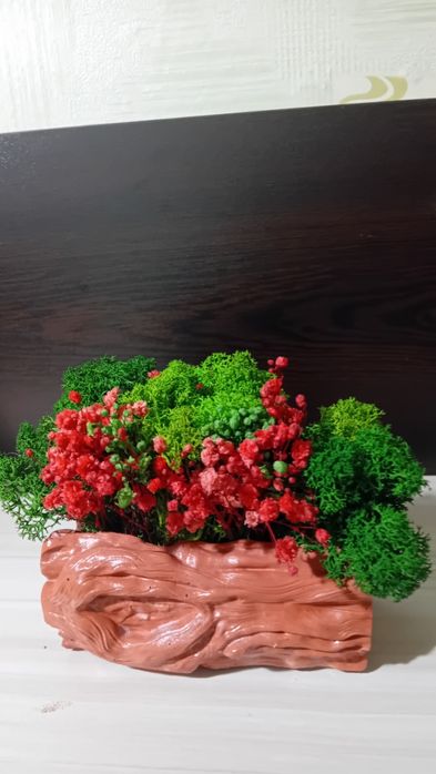 Кашпи със скандинавски мъх