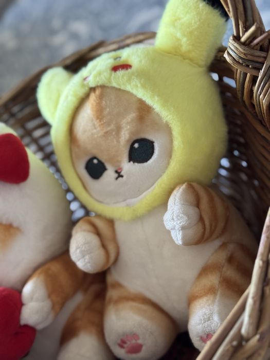 Оба кота за 500 тенге