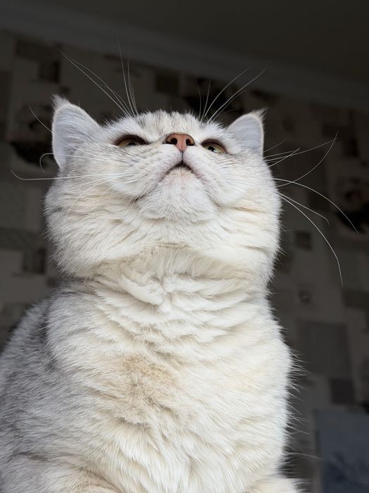 Вязка не продаётся