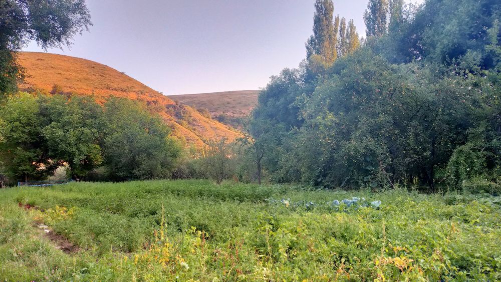 Сдается тапчан в районе Бургулюка.