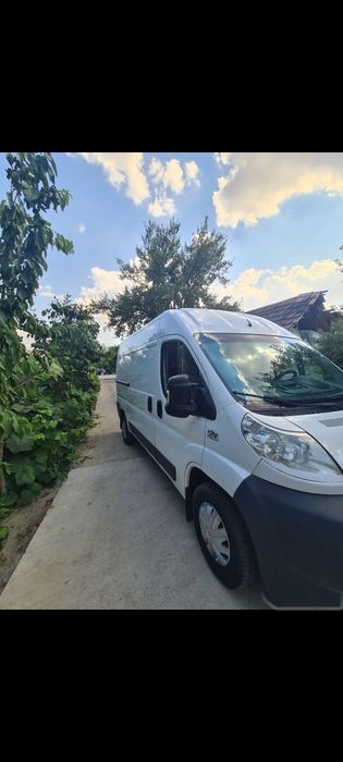 Vand duba fiat ducato