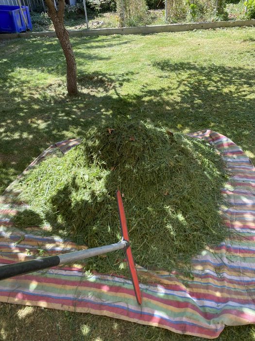 Покос травы Валка деревьев