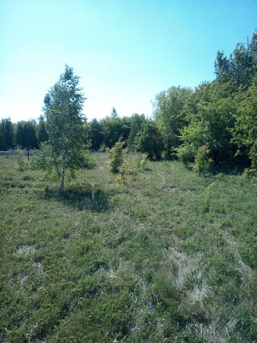 Земельный участок