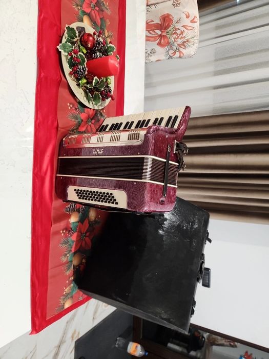 Vând acordeon Timiș 48 basi