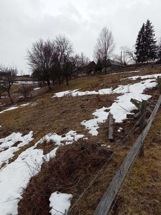 Vând(schimb) teren Mărișel