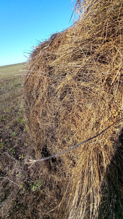 Продам льняную солому с поля
