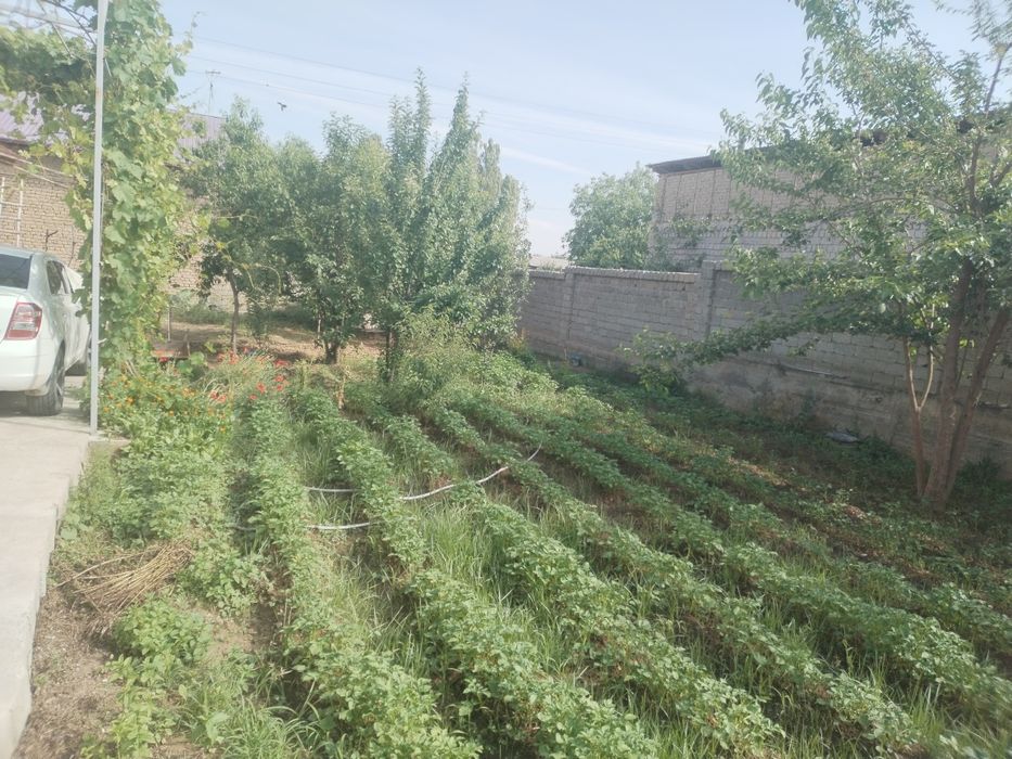 Uchastka sotiladi zangota solnichnida